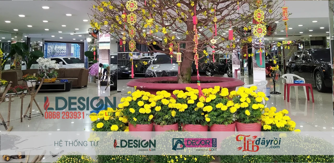 Bảng Giá Trang Trí Tết Trọn Gói – Thi Công Đẹp, Giá Tốt